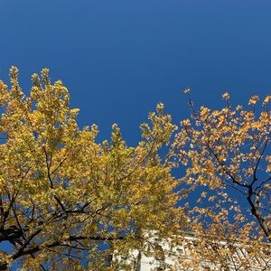 Meet your Posher, Nour